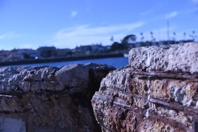 DSC_0814 (Large).JPG